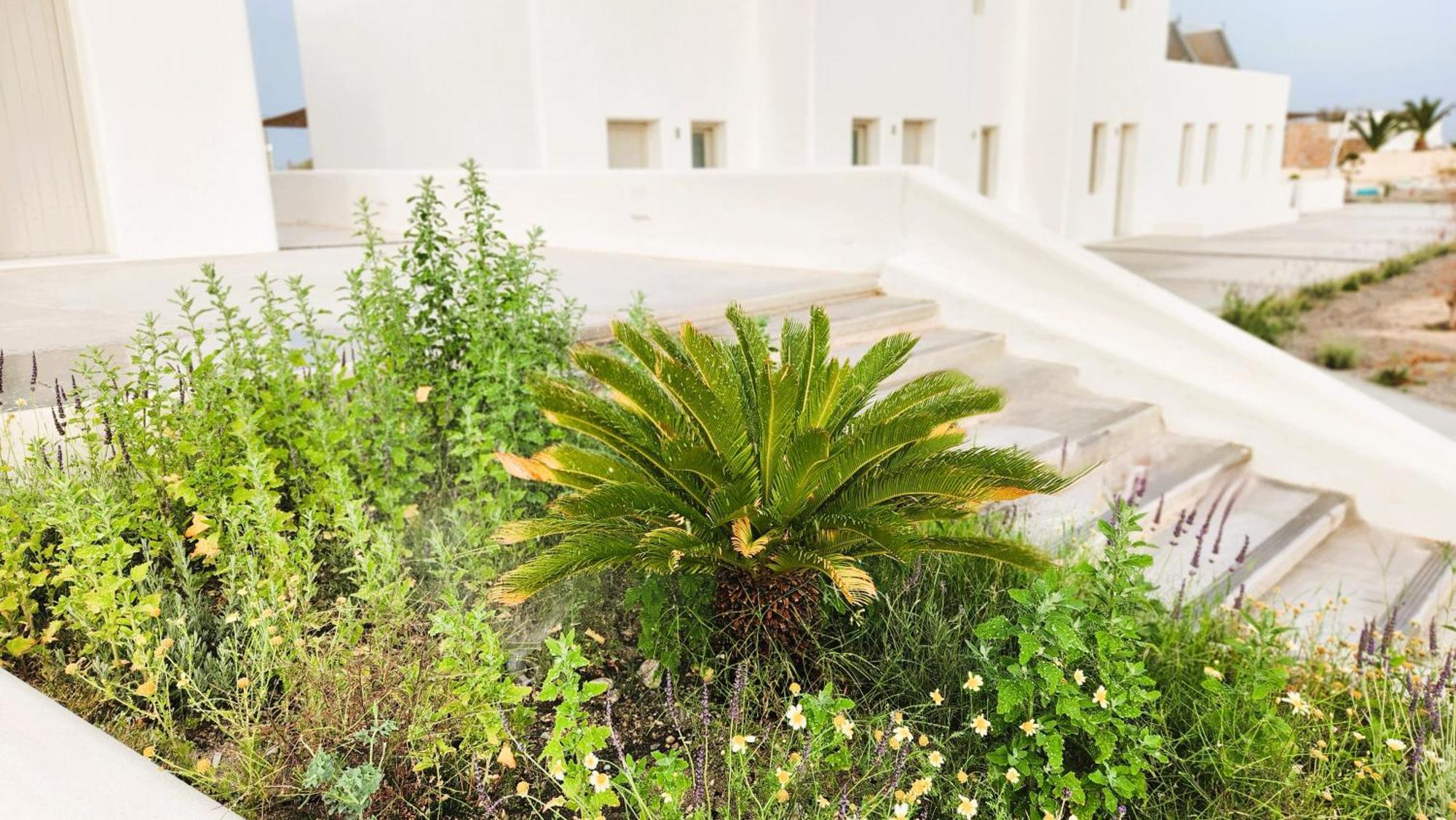 Hayal Suites Santorini Emporio  المظهر الخارجي الصورة